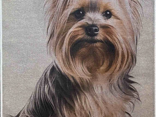 Digital Print Yorkie