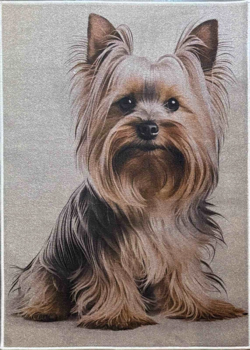 Digital Print Yorkie